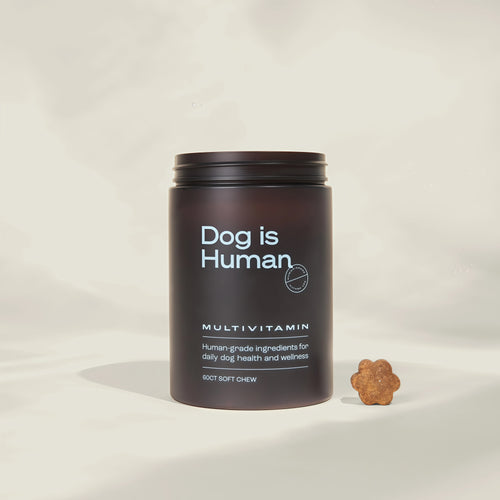 DM-01™ Daily Multivitamin (Beef) 100% Human-Grade Ingredients